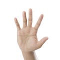Hand symbol showing the five fingers isolated on a white background Royalty Free Stock Photo