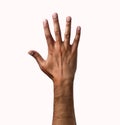 Hand symbol on white background