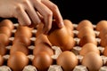 Hand takes one egg out of cardboard Royalty Free Stock Photo