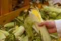 hand taking corn from grocery store shelf