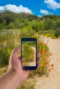 Hand taking picture with smartphone in a sunny day Royalty Free Stock Photo