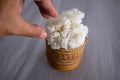 Hand taking some sticky rice at the hungry time. This food style is the culture of the people in northeast of Thailand Royalty Free Stock Photo