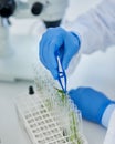 Hand, test tubes and plants for research, laboratory and pharmaceutical development for health care. Person, medicine or Royalty Free Stock Photo