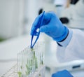 Hand, test tubes and plants for research, medical and pharmaceutical development for health care. Scientist, laboratory Royalty Free Stock Photo