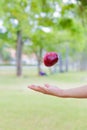 Hand throw apple in the air at farm