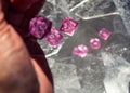 Hand throwing pink rpg dice Royalty Free Stock Photo