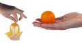 The hand throws out the sausage and offers an orange. Isolated on white. Healthy food. Vegetarian food. Vegan. Healthy diet.