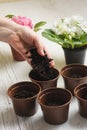 Hand throws the soil in pot