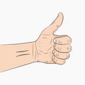 Hand with the thumb up. Vector illustration.