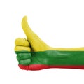 Hand with thumb up, Lithuania flag painted