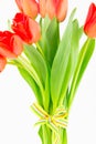 Hand-tied bouquet of orange tulips Royalty Free Stock Photo