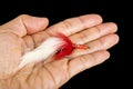 Hand Tied Fishing Flies in the Palm of the Hand