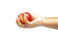 Hand clutching a red apple isolated on white background Royalty Free Stock Photo