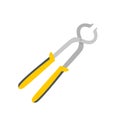 Hand tools vector. Steel pliers for pinching workpieces and cutting wires Royalty Free Stock Photo