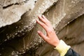 Hand touch close up prehistorical artifacts-shell fossils in stone in Pantishara - Datvis khevi valley in Vashlovani national park Royalty Free Stock Photo