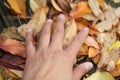 Hand touches leaves on the deck