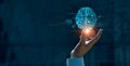 Hand touching brain of AI, Symbolic, Machine learning, artificial intelligence of futuristic technology. AI network of brain