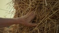 Hand touching hay stack at farmland closeup. Farmer examining dry harvested