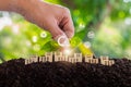 hand touching light bulb with nature on ground with energy,Light bulb on the ground. Earth and energy concept.