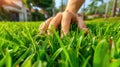 Hand touching vibrant green grass outdoors on a sunny day Royalty Free Stock Photo