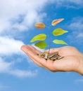 Hand with tree Royalty Free Stock Photo