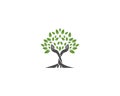 Hand Tree With Green Leaves Icon Logo Icon Design Royalty Free Stock Photo