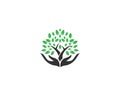 Hand Tree With Green Leaves Icon Logo Royalty Free Stock Photo