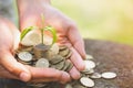 Hand with tree growing from pile of coins, concept for business, innovation, growth and money Royalty Free Stock Photo