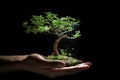 Hand Tree Hand Holding Tree Ai Technologyon Black Background Royalty Free Stock Photo