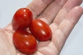 Hand with tree red cherry pear tomato