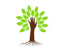 Hand tree with roots vector illustration.