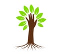 Hand tree with roots vector illustration. Royalty Free Stock Photo