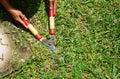 Hand trimming grass with grass shears. Royalty Free Stock Photo