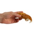 Hand Turkish traditional sesame bagel white background