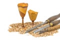 Hand-turned wooden goblets decorated with sawdust and tool