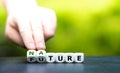 Hand turns dice and changes the word `future` to `nature`. Royalty Free Stock Photo