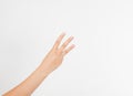 Hand two palm up. handbreadth isolated on a white background. Front view. Mock up. Copy space. Template. Blank.