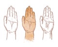 Hand up vector logo. chiromancy, palmistry or palm icon