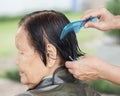 Hand use comb to dressing hair of a senior woman Royalty Free Stock Photo