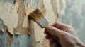 A hand using a brush to remove peeling wallpaper, showing home renovation and DIY effort Royalty Free Stock Photo