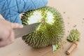 Hand using knife to peel durian shell which has a lot of thorns. Tropical seasonal fruit, king of fruit from Thailand. The durian Royalty Free Stock Photo