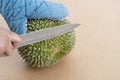 Hand using knife to peel durian shell which has a lot of thorns. Tropical seasonal fruit, king of fruit from Thailand. The durian Royalty Free Stock Photo