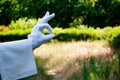 Hand of a waiter in a white glove showing a sign against a nature background Royalty Free Stock Photo