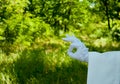 Hand of a waiter in a white glove showing a sign against a nature background Royalty Free Stock Photo