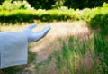 Hand of a waiter in a white glove showing a sign against a nature background Royalty Free Stock Photo