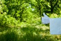 Hand of a waiter in a white glove showing a sign against a nature background Royalty Free Stock Photo