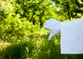 Hand of a waiter in a white glove showing a sign of a dislike against a nature background Royalty Free Stock Photo