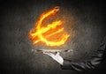 Hand of waitress presenting flaming euro sign. Royalty Free Stock Photo