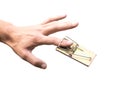 The hand was caught in a mousetrap. Close up. Isolated on a white background Royalty Free Stock Photo