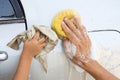 Hand washing car. Royalty Free Stock Photo